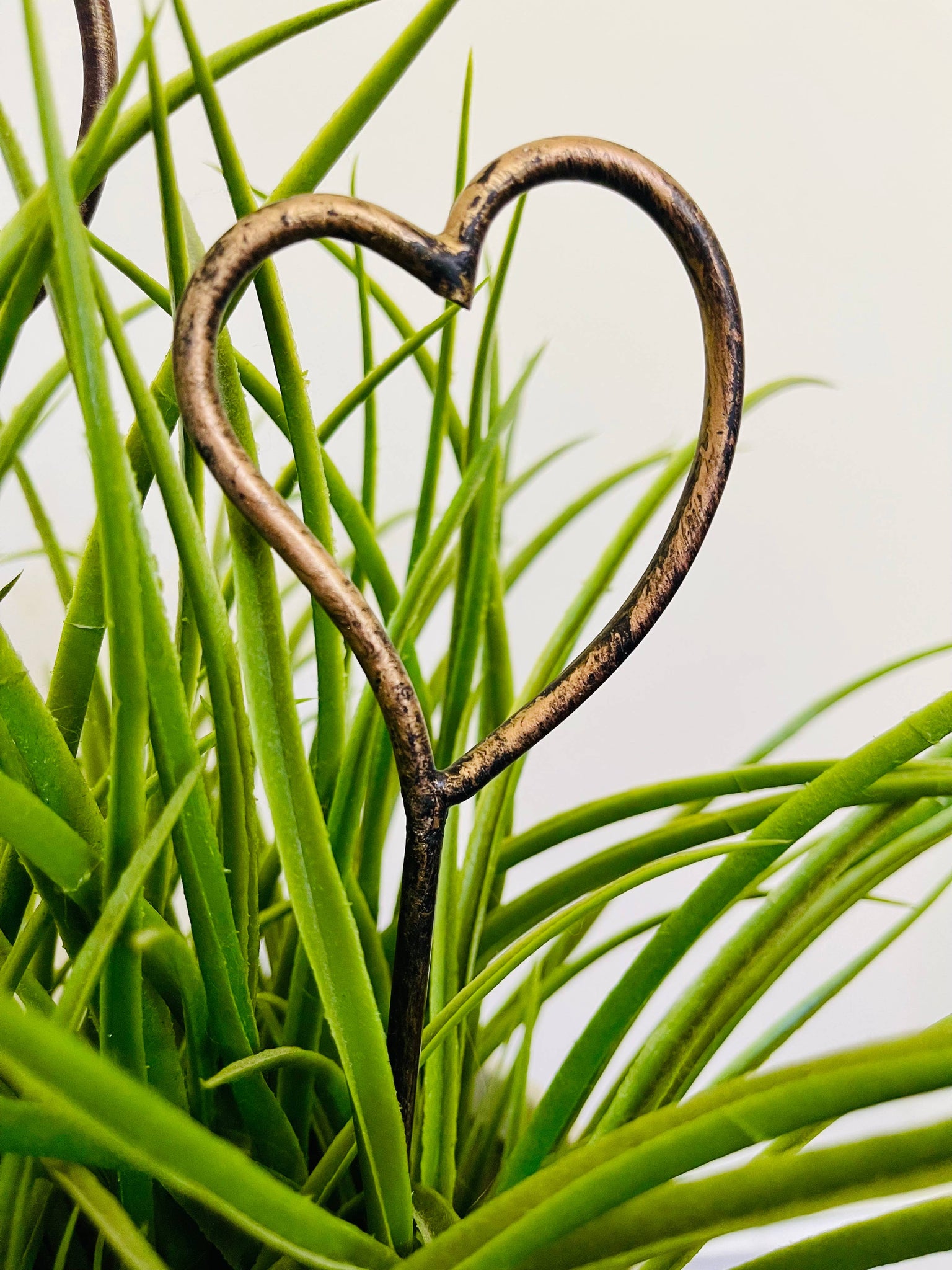 Heart Shaped - Metal Garden or Plant Stakes for Pots!