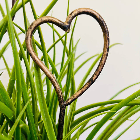 Heart Shaped - Metal Garden or Plant Stakes for Pots!