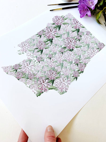 Washington State Flower Art Print
