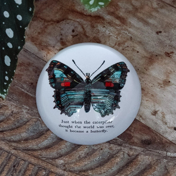 Paperweights - Adored A Lovely Boutique
