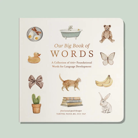 Our Big Book of First Words