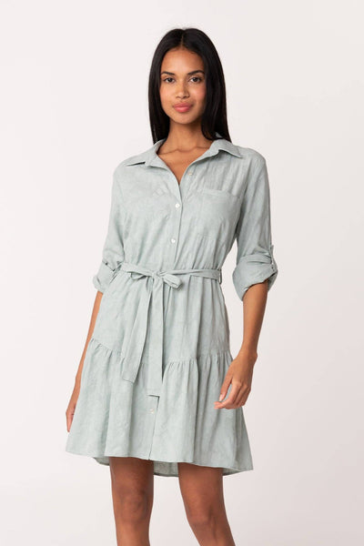 Long Sleeve Collared Drop Waist Mini Dress