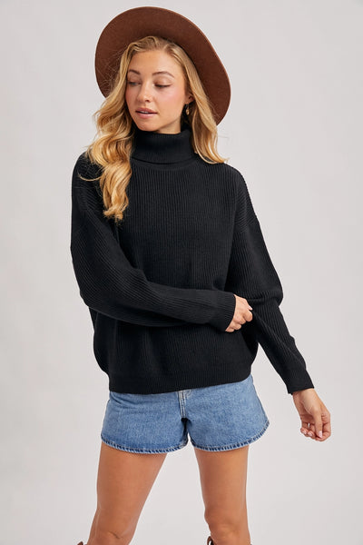Turtle Neck Ribbed Knit Sweater