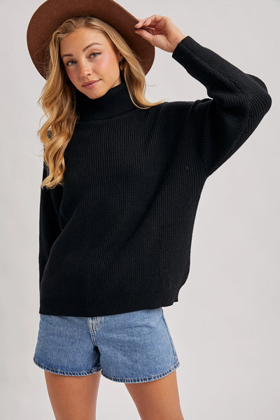 Turtle Neck Ribbed Knit Sweater