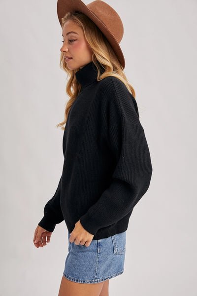 Turtle Neck Ribbed Knit Sweater
