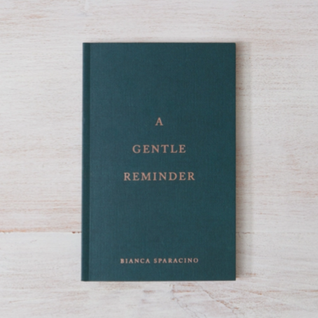 A Gentle Reminder - book
