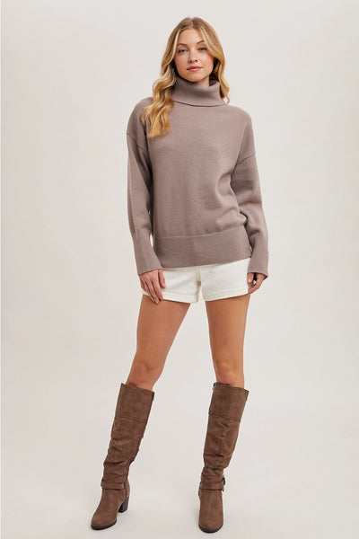 Knit Turtle Neck Sweater