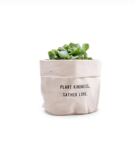 Small Canvas Planter