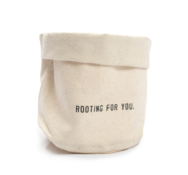 Small Canvas Planter