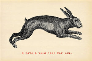 Postcard - Wild Hare - Adored A Lovely Boutique